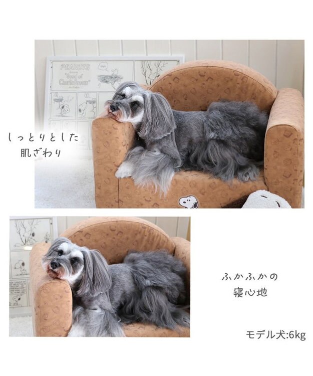 PET PARADISE スヌーピー ソファ 顔クッション付き 小型犬 ベージュ
