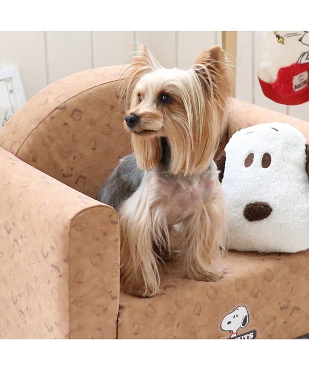PET PARADISE スヌーピー ソファ 顔クッション付き 小型犬 ベージュ
