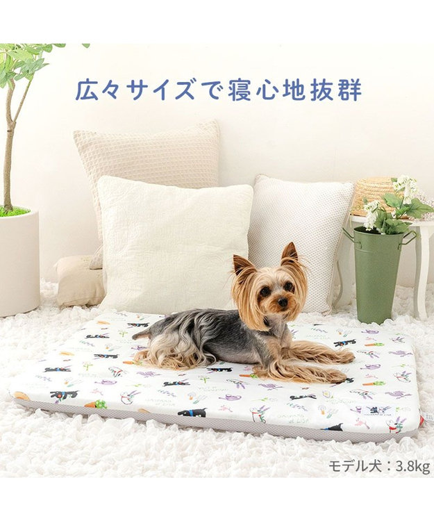 PET PARADISE リサとガスパール もちっと クールマット ホワイト