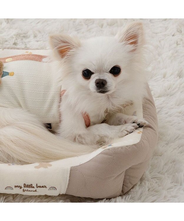 PET PARADISE ペットパラダイス くまちゃん キルトカドラー S  超小型犬 38×32cm ブラウン