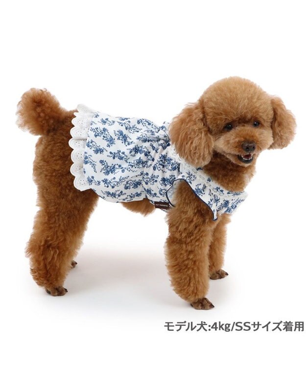 PET PARADISE ペットパラダイス 涼やか ワンピース 小型犬 ブルー