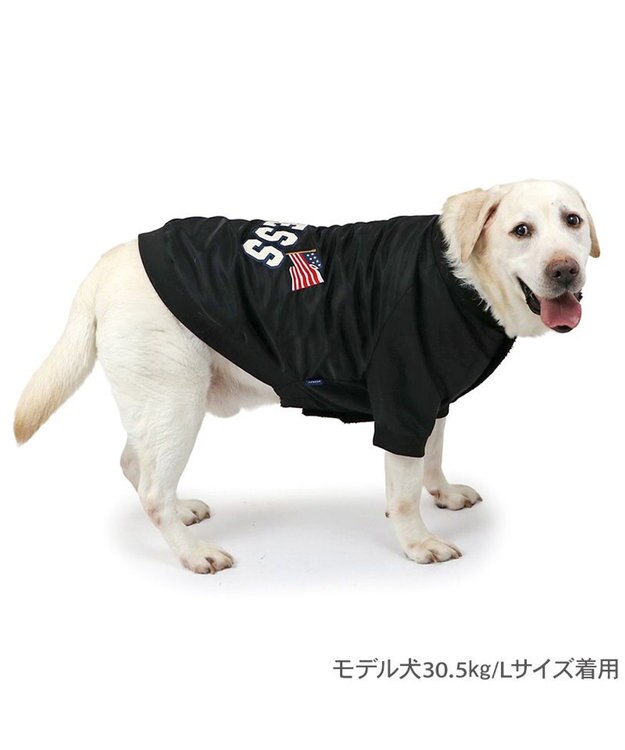 PET PARADISE J.PRESS ブラック スタジャン 中型犬 大型犬 ブラック