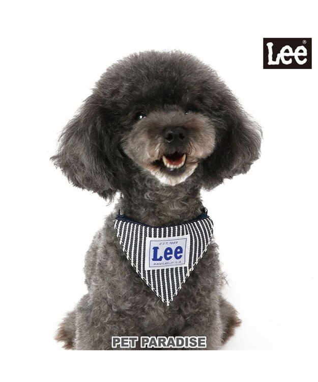 Lee 犬用　リード 首輪　SSサイズ　ペットパラダイス Lee ヒッコリー 両面バンダナ付き 首輪【S】 / PET PARADISE