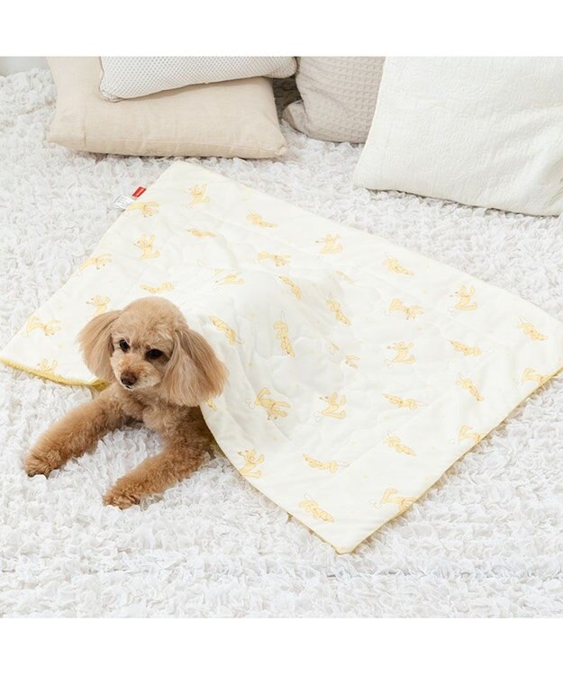 PET PARADISE ディズニー プルート もちっと クール ブランケット ホワイト×イエロー