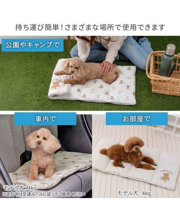クマ太 くま柄 ミニ口金財布 ブラック