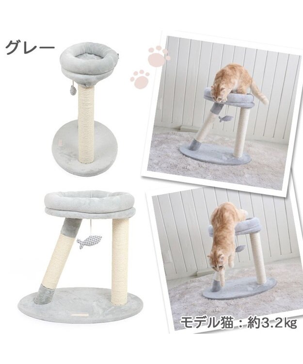 PET PARADISE 猫 キャットタワー 55cm スリム グレー