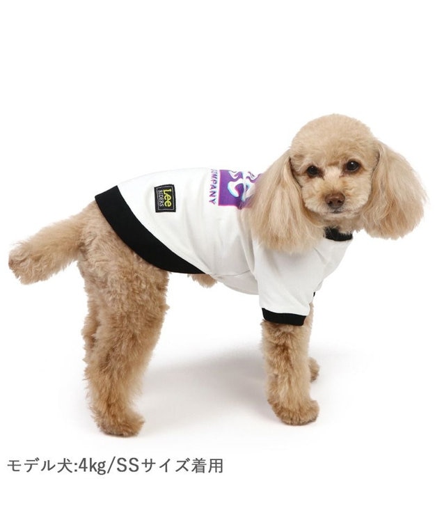 （︎︎☁専用）犬のキャラクター ストラップ ハート付き Lee 四角 ロゴトレーナー 小型犬 / PET PARADISE | 【通販】雑貨