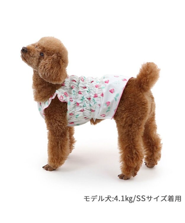 PET PARADISE ペットパラダイス エコメイド キャミソール 《苺柄》 小型犬 苺柄