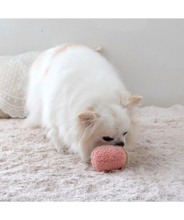 PET PARADISE ペットパラダイス ふわころトイ 《いちご  ピンク》 小型犬  ピンク