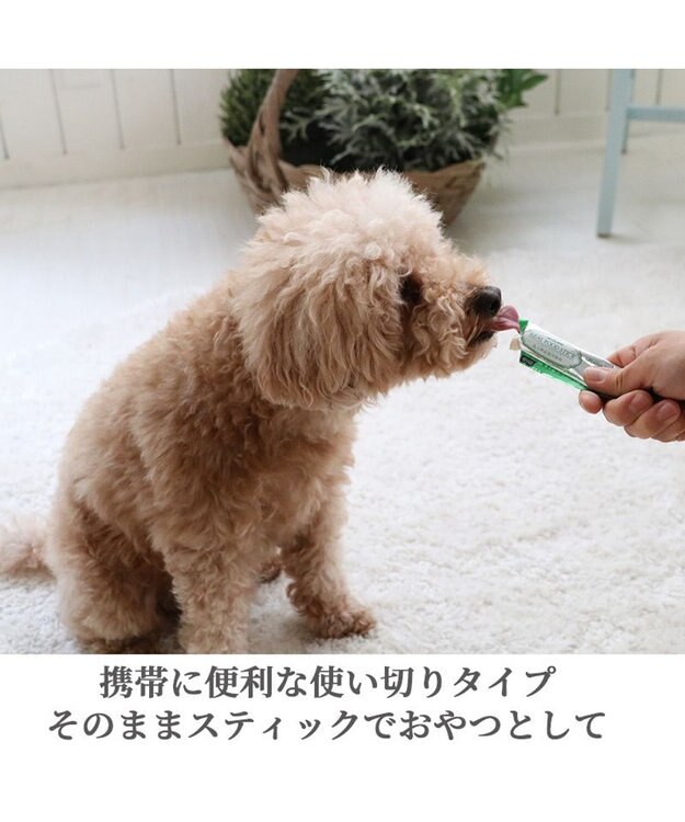 PET PARADISE リアルフードスティック ロコモケア 10g×8本 国産 -