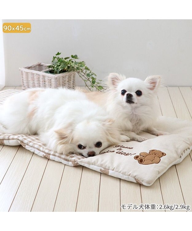 PET PARADISE ペットパラダイス クールロールマット 《くまちゃん 水玉柄》 小型犬 くまちゃん 水玉柄