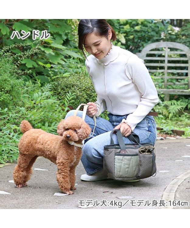 パーティアニマル 1.8kg2袋 水森亜土 エコバック Count the calories 亜土ちゃん マルシェ