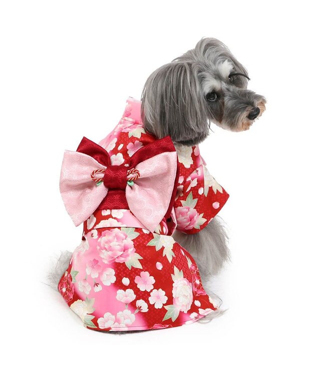 ペットパラダイス 着物 《 牡丹桜柄 》 小型犬 / PET PARADISE