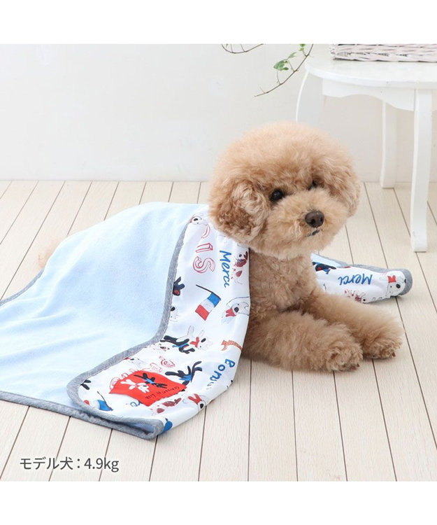 PET PARADISE リサとガスパール クール ブランケット 《パリ柄》 小型犬 パリ柄