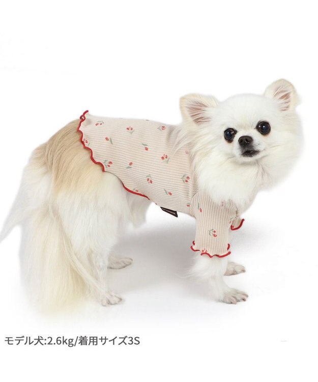 PET PARADISE ペットパラダイス お花のびのび リブ Tシャツ  小型犬 お花