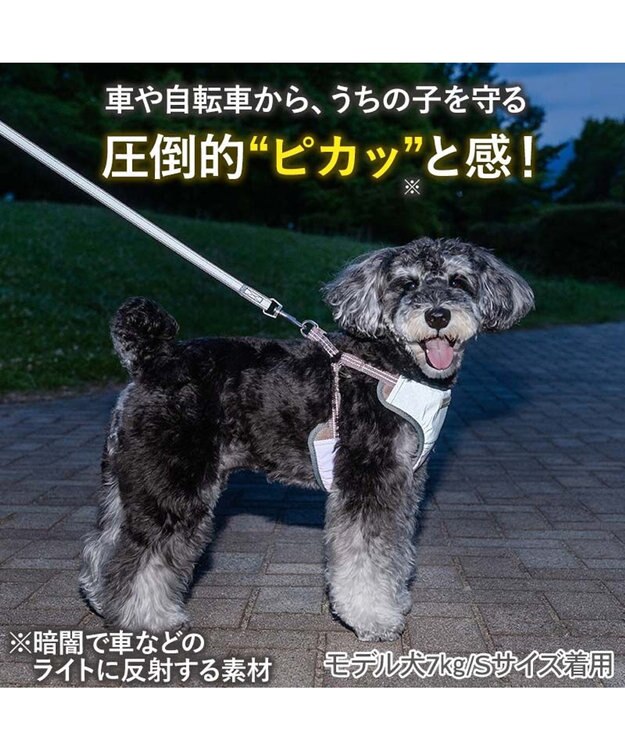 PET PARADISE ペットパラダイス 超反射 切り替え ハーネス＆リード Ｓ 《ブルーグリーン》 ブルーグリーン