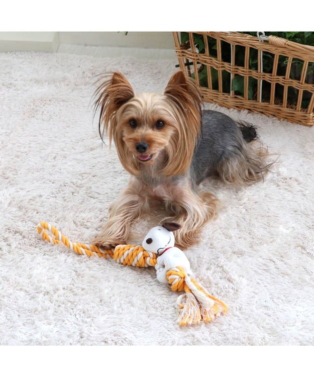 PET PARADISE スヌーピー しがみつき トイ 黄