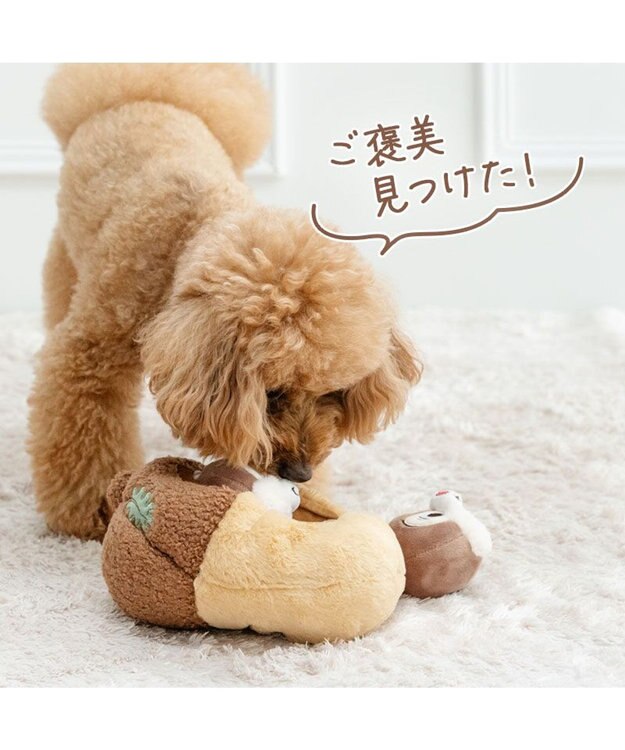 PET PARADISE ディズニー チップとデール どんぐり ボール トイ ブラウン