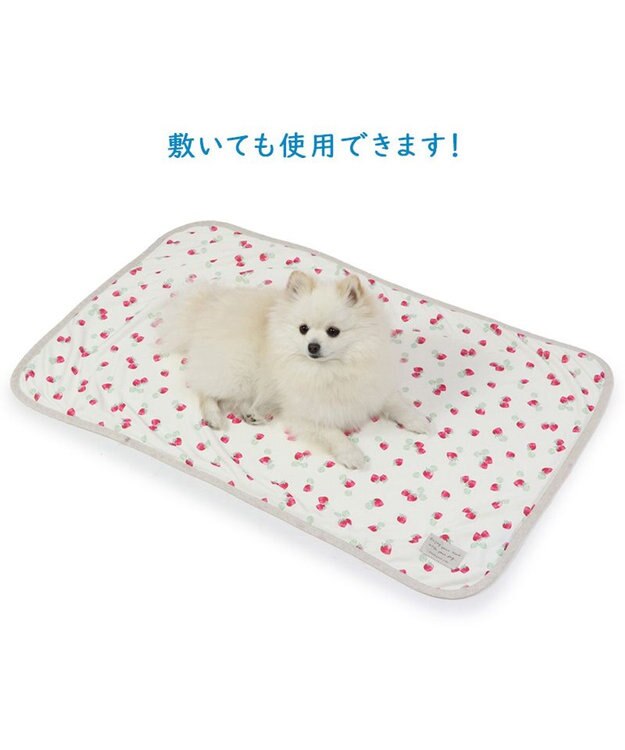 PET PARADISE ペットパラダイス クールブランケット 単品 (90×60cm)  《 苺柄 / ネイティブ柄 》 苺柄