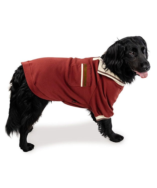 PET PARADISE ペットパラダイス プレミアム ぺティヒート スキッパーTシャツ 中型犬 大型犬 レッド