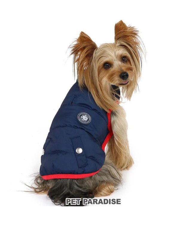 PET PARADISE 犬 服 J.PRESS 綿入り ベスト 【小型犬】  フライトベスト ネイビー 紺（ネイビー・インディゴ）