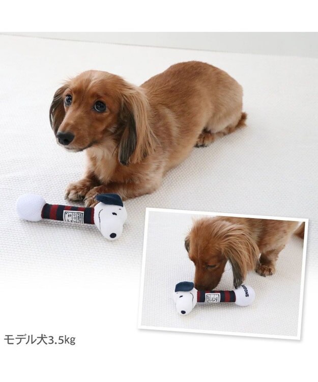 PET PARADISE スヌーピー ゴルフ ダンベルトイ Ｓ ネイビー×レッド