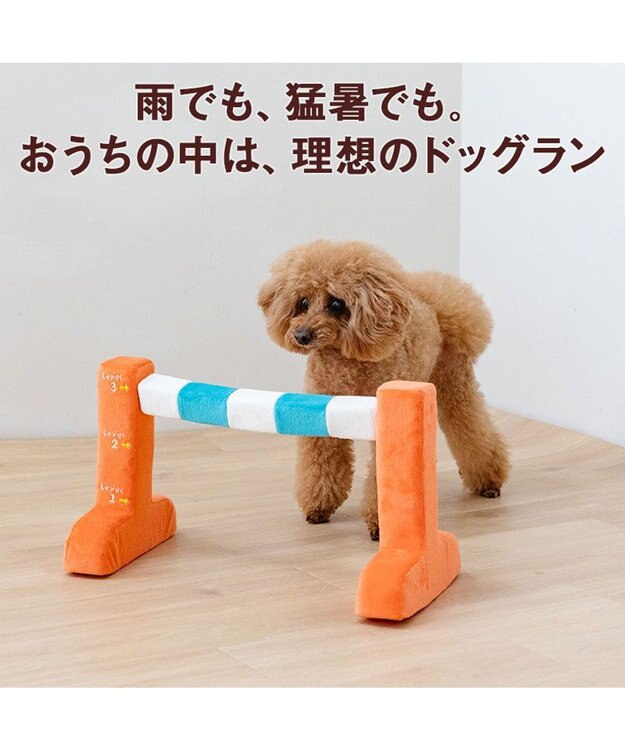 PET PARADISE ペットパラダイス わくわく ハードル トイ オレンジ