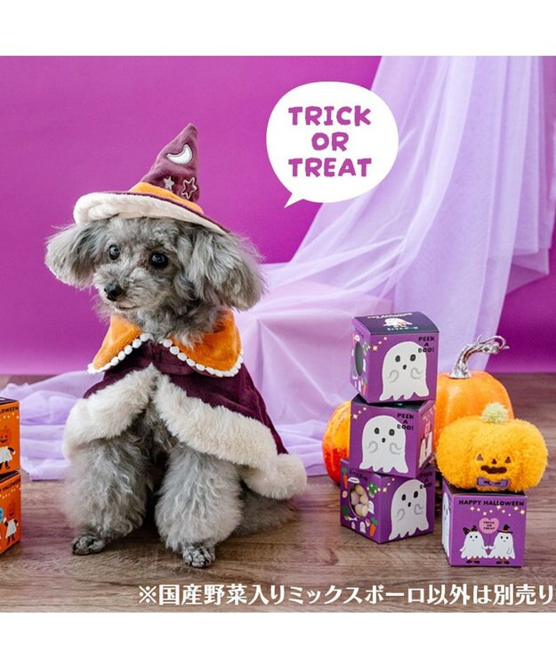 PET PARADISE ハロウィン おばけＢＯＸ ミックスボーロ 0