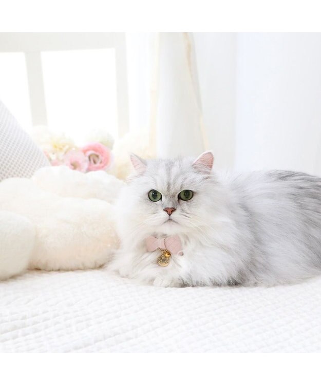 PET PARADISE ディズニー マリー リボン 猫 首輪 《小 / 中》 リボン