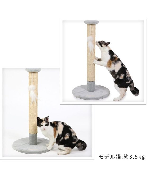 どはまり猫 Catit ひのきの消臭砂バイオプラス 7L | Catit（キャットイット