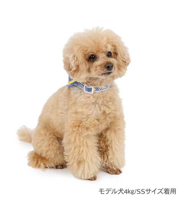 PET PARADISE ディズニー ドナルドダック セーラー付き首輪 ３Ｓ ブルー