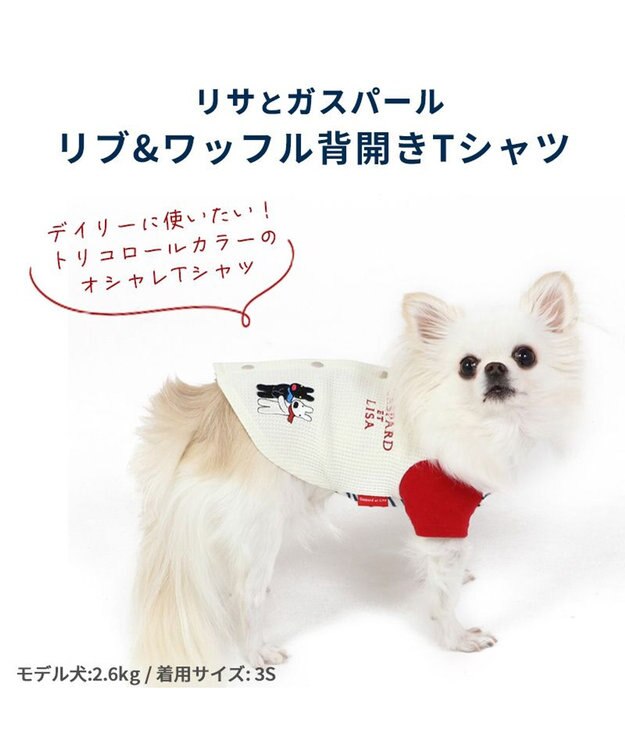 PET PARADISE 犬の服 犬 リサとガスパール 背中開き Ｔシャツ 【小型犬】 リブ 白~オフホワイト