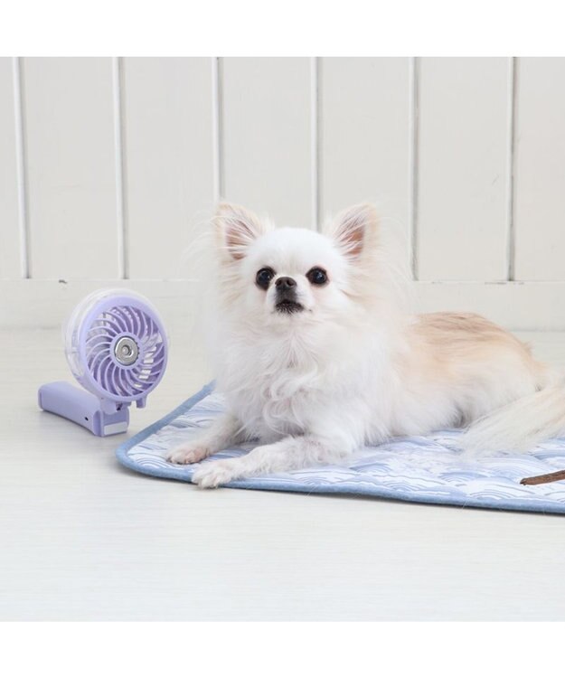 PET PARADISE 〔2023年モデル〕 ミニ 扇風機 ミスト ハンディファン 《ラベンダー》 ラベンダー
