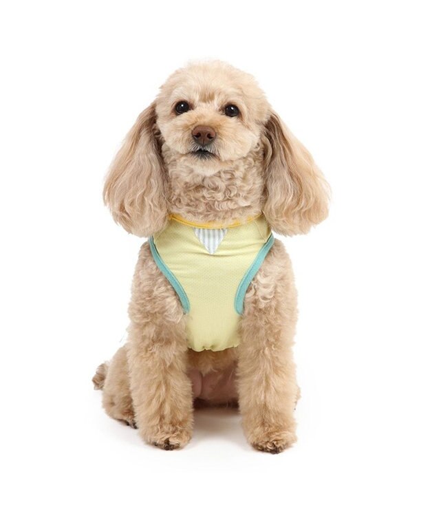 PET PARADISE スヌーピー エコメイド タンクトップ 《パフェ柄》 小型犬 パフェ柄