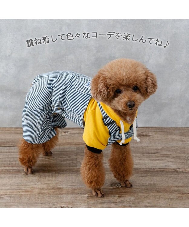 PET PARADISE Lee ビッグ ロゴ パーカー 《イエロー》 小型犬 イエロー