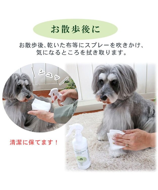 PET PARADISE ペット 消臭スプレー　エチケットウォーターｎ（ネイチャー） 50mL 白～オフホワイト