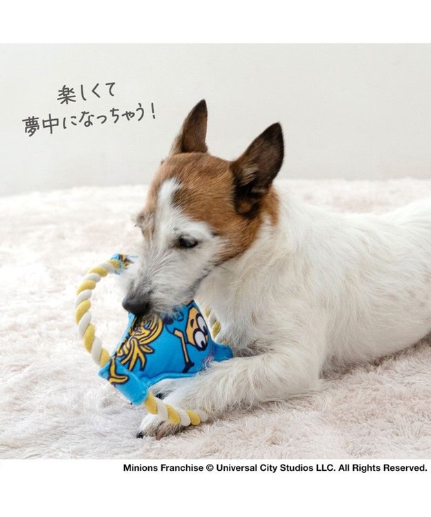 PET PARADISE ミニオン ロープフリスビー トイ ブルー