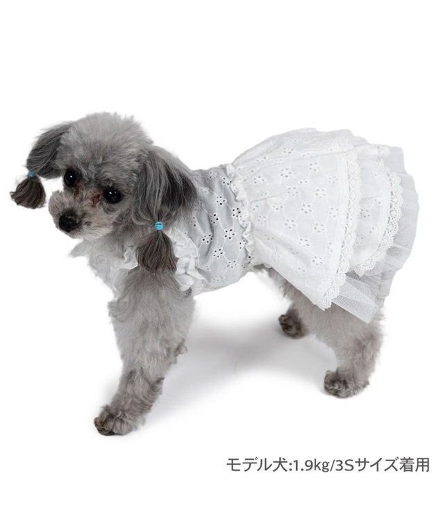 PET PARADISE ペットパラダイス アイレット レース ワンピース 小型犬 ホワイト