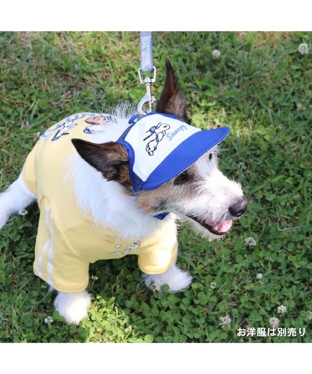 PET PARADISE スヌーピー キャップ 《ナイスキャチ》 小型犬 ブルー