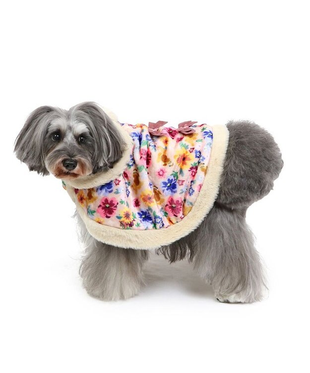 PET PARADISE ディズニー レディ ポンチョ わんわん物語 小型犬 茶