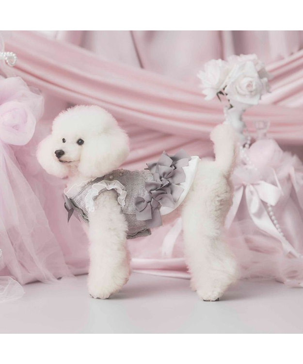 PET PARADISE cherircouture ヘムリボンツイードベスト 《グレー》 小型犬 グレー