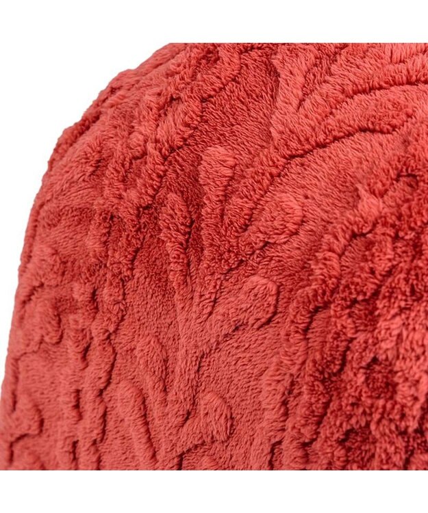 PET PARADISE ペットパラダイス  遠赤外線 アランボア ハウス レッド