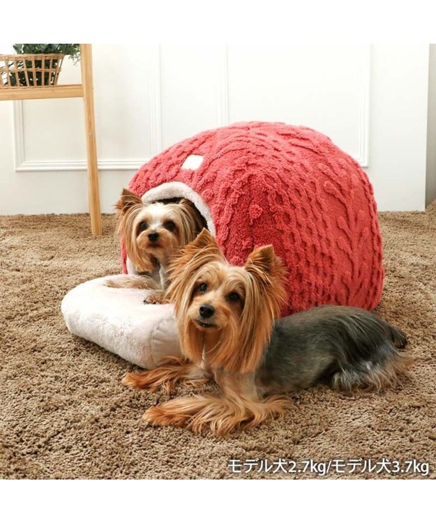 PET PARADISE ペットパラダイス  遠赤外線 アランボア ハウス レッド