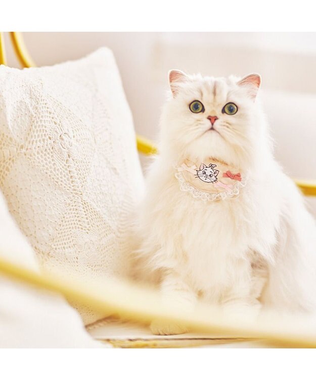 PET PARADISE ディズニー マリー 猫首輪 《小 / 中》 中サイズ