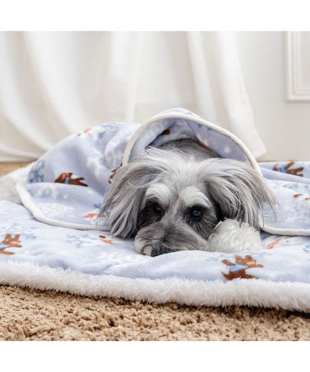 PET PARADISE リサとガスパール 遠赤外線 ボアマット 《雪編み柄》 ブルー