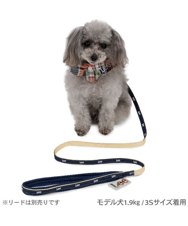 PET PARADISE Lee チェック襟付首輪 3S 小型犬 マドラスチェック