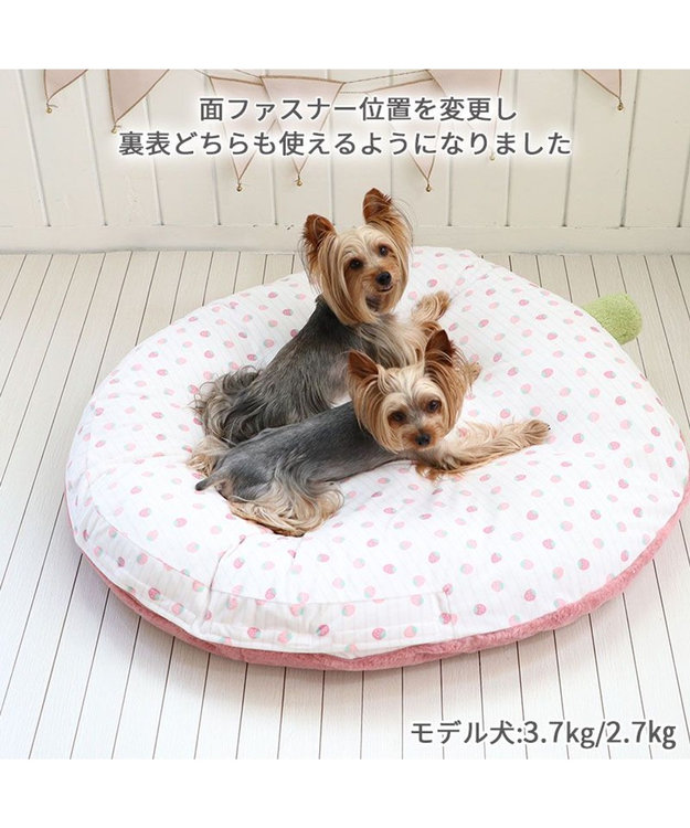 ネット店限定 くすみ苺 クッション (90×92cm) 小型犬 / PET