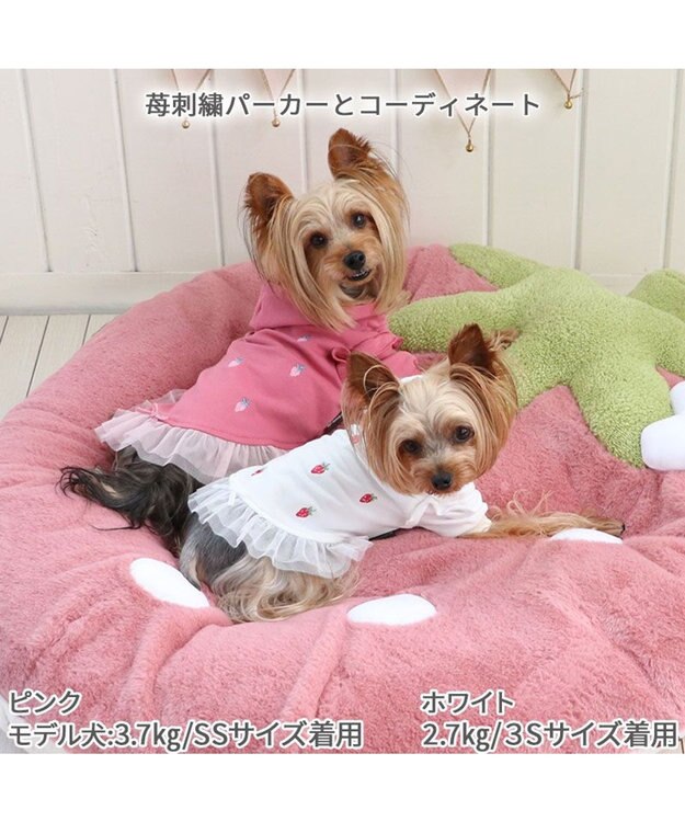 PET PARADISE ネット店限定 くすみ苺 クッション (90×92cm) 小型犬 ピンク