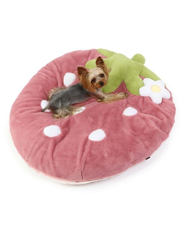 PET PARADISE ネット店限定 くすみ苺 クッション (90×92cm) 小型犬 ピンク