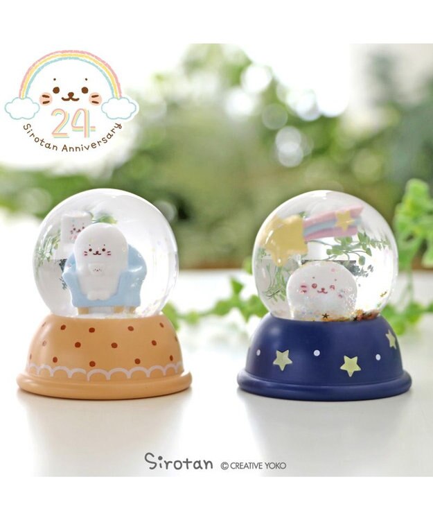 Mother garden しろたん スターグローブ  《朝と夜》 朝と夜